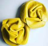 Royal Radiant Roses